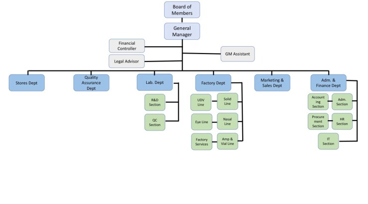 Structuring for Success: Crafting an Effective Organizational Blueprint ...